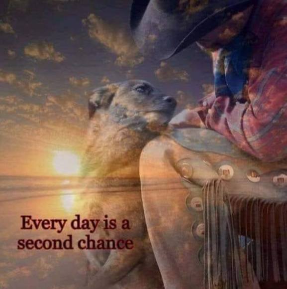 Meet your Posher, Cliff - Picture 1 of 1